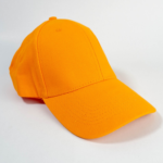 Baseball Cap 10