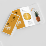 Brochure 3