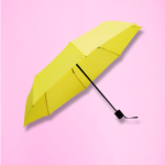 Umbrella (UM2) 2