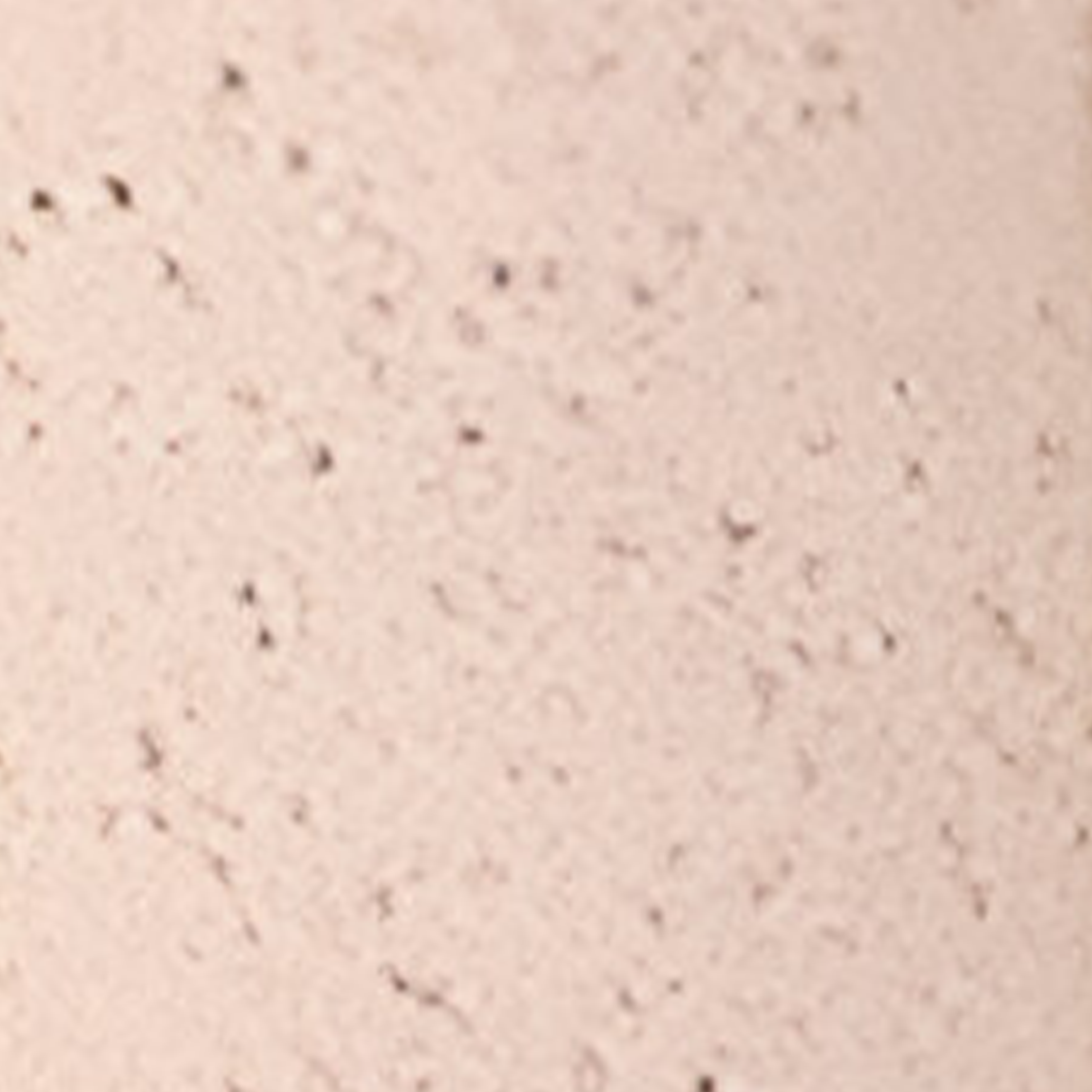 Wheat Fiber